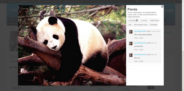 BuddyPress Media 2.7 Slideshow Preview