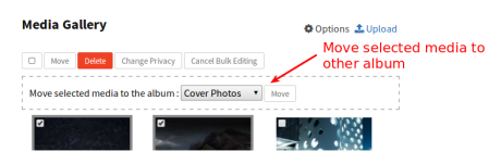 bulk edit move media
