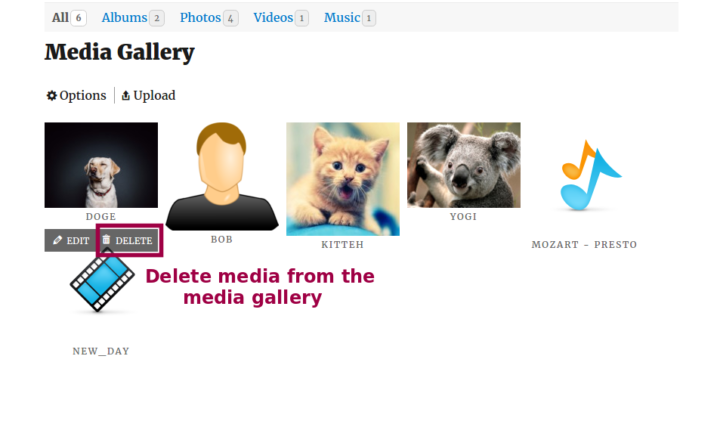 Delete from media gallery