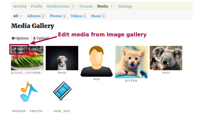 Edit media from Media gallery