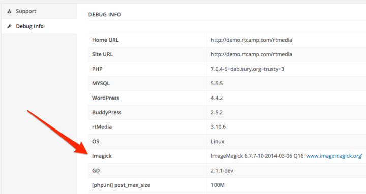 rtmedia-imagemagick-debug-info