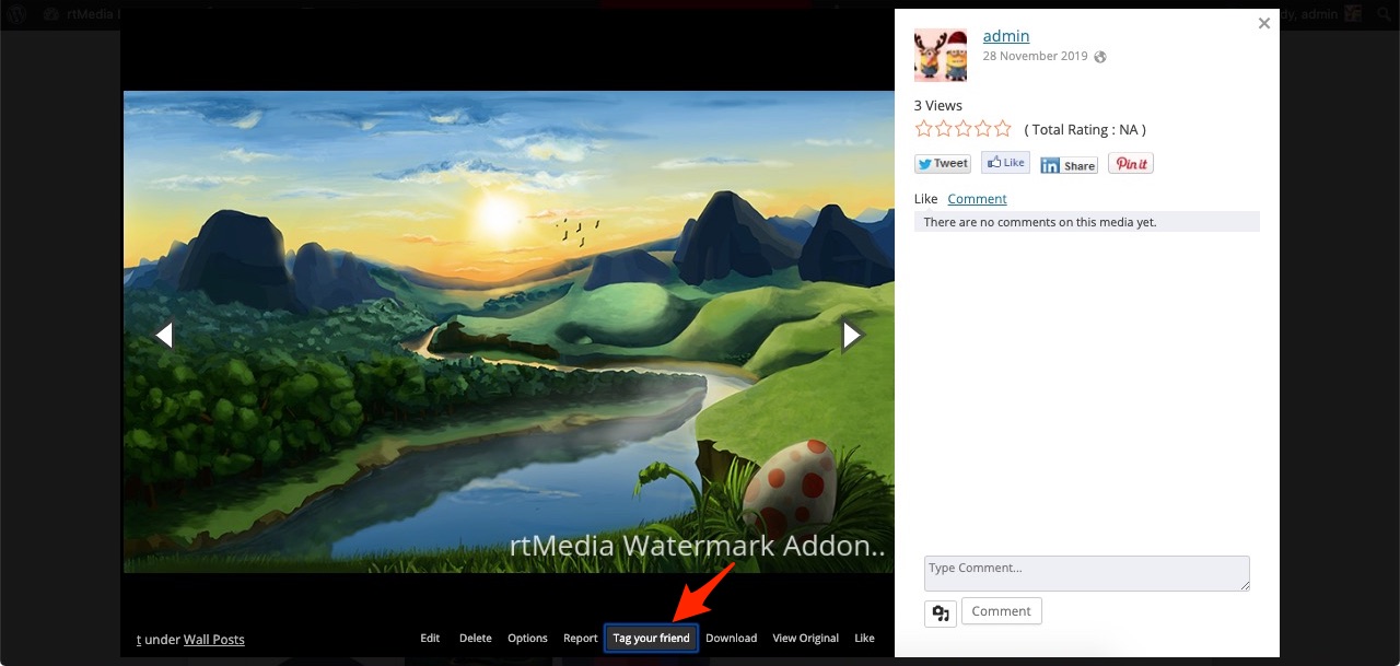 Premium add-on Updates - March 2020 - rtMedia