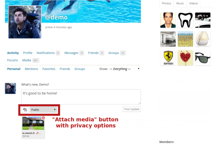 "Attach media" button with privacy options